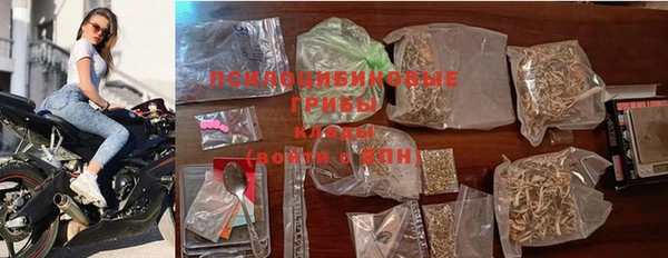 амф Абинск