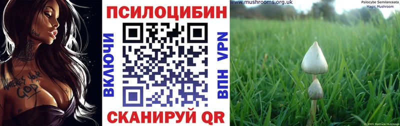 Галлюциногенные грибы прущие грибы  Серпухов 